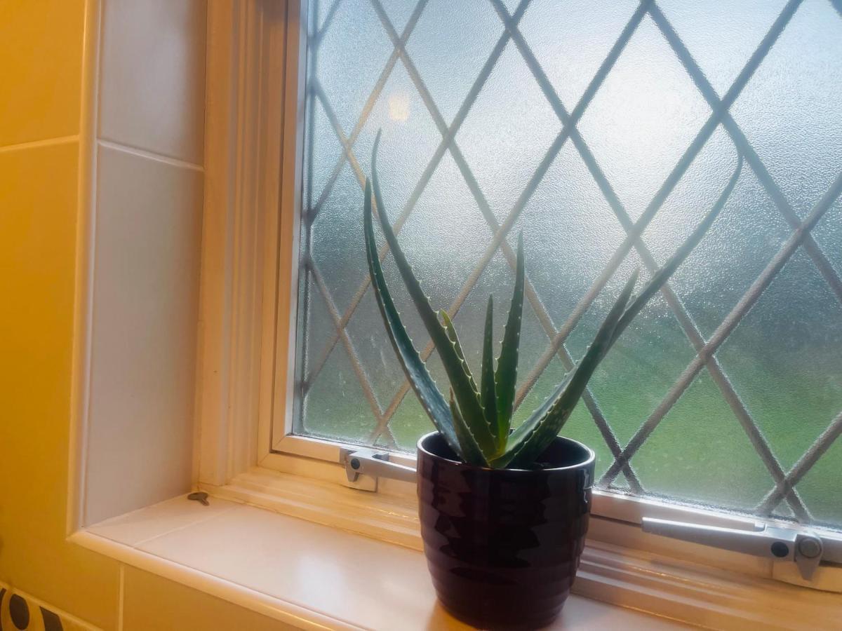 Super King Bed Suite, Executive Office, Fast Wifi, Free Parking Holiday home St Ives (Cambridgeshire)